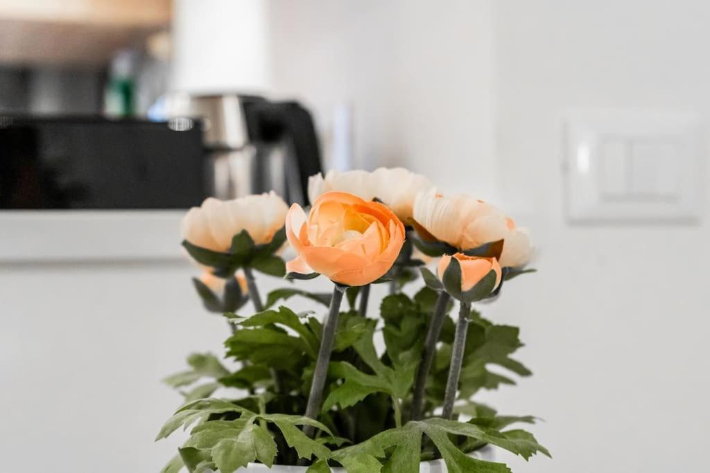 Suite32 แบร์กาโม ภายนอก รูปภาพ